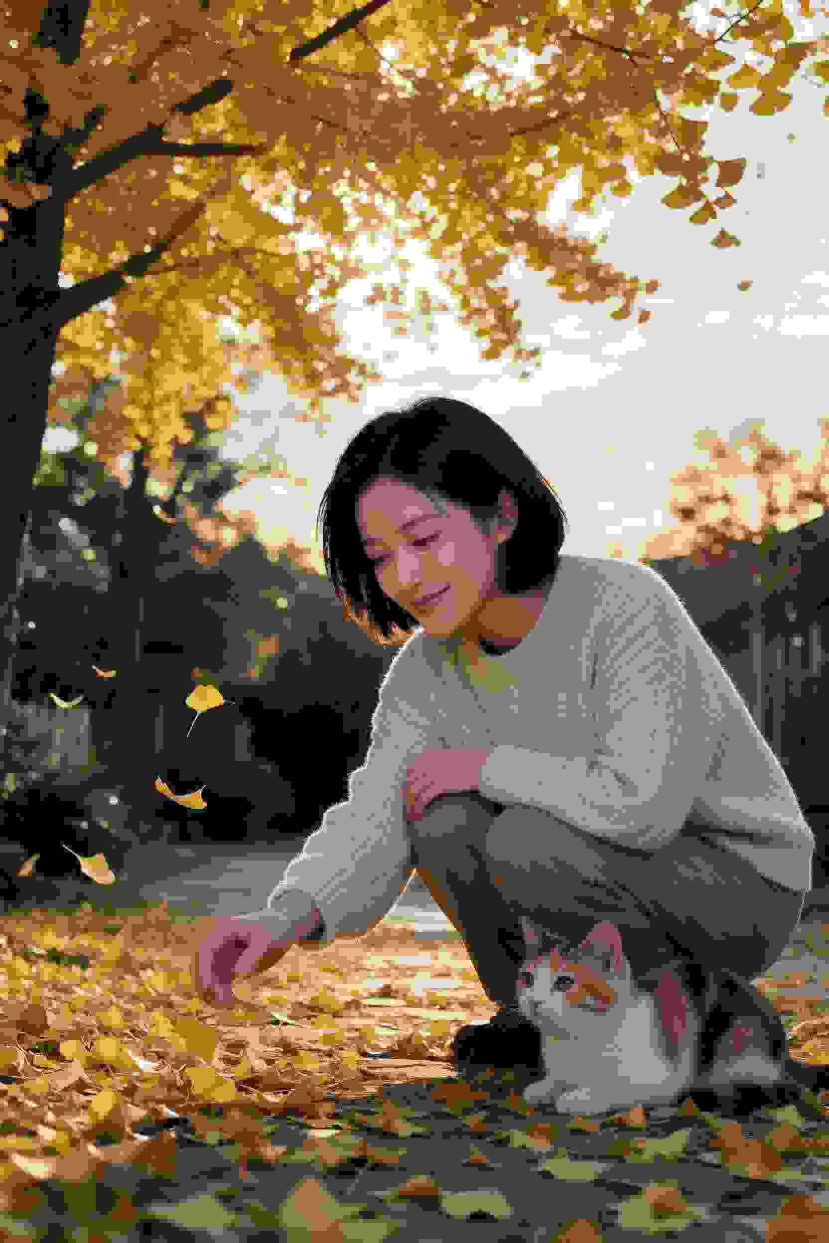 网络剧6